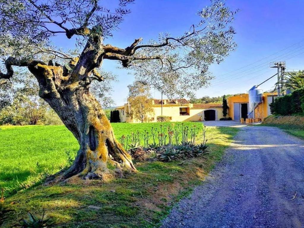 Villa Rural Mas Hortus Gerona Exterior foto